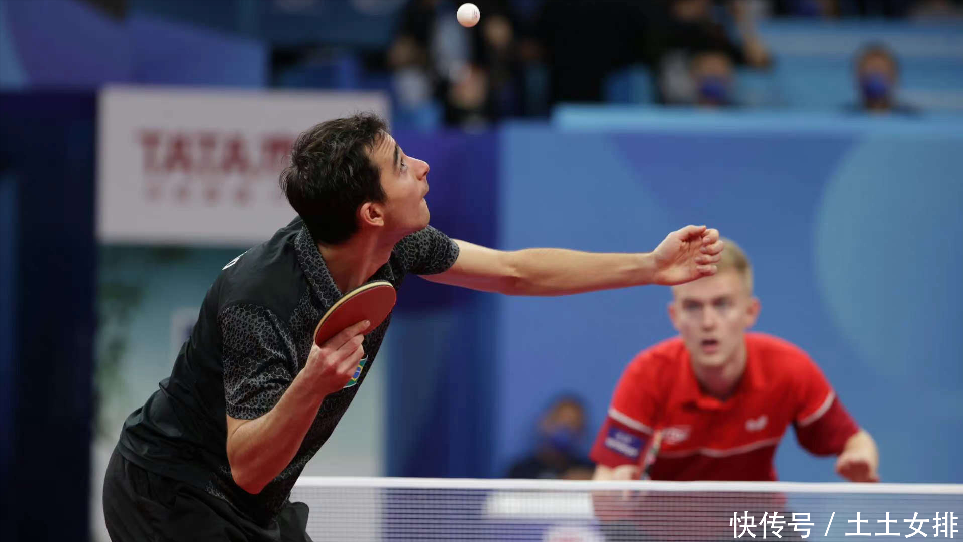 森林狼战绩 森林狼战绩